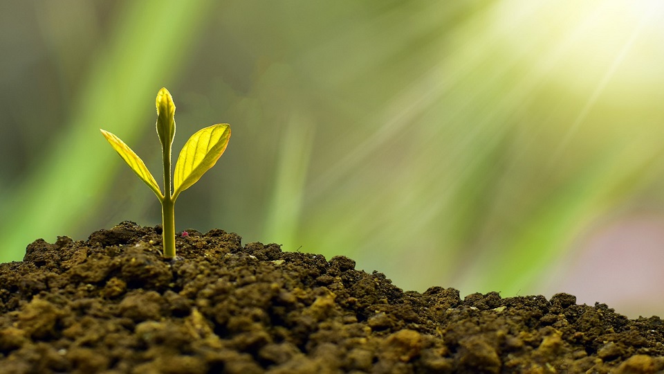 Top 5 fenntarthatósági trend 2026-ban