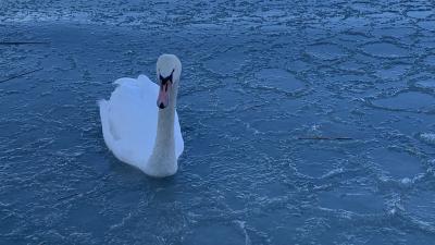 A vendégéjszakák száma 5,2 százalékkal, a bevétel 3,3 százalékkal nőtt februárban a turisztikai szálláshelyeken