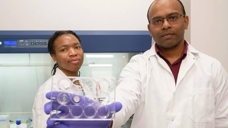 Erre az áttörésre várhatott a rákkutatás: 3D-nyomtatott kapszulák pusztítják a daganatot