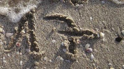 2026. április 17. – Információk, hírek vállalkozóknak