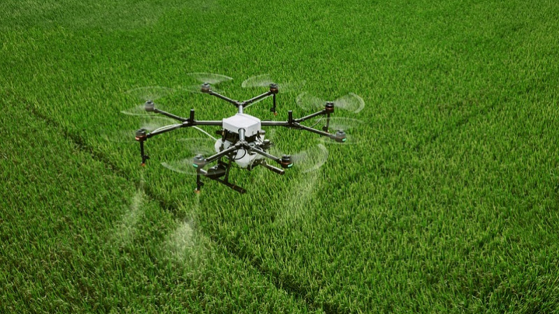 Növényvédő szerek drónos kijuttatása: a kérelmezéssel kapcsolatosa legfontosabb tudnivalók