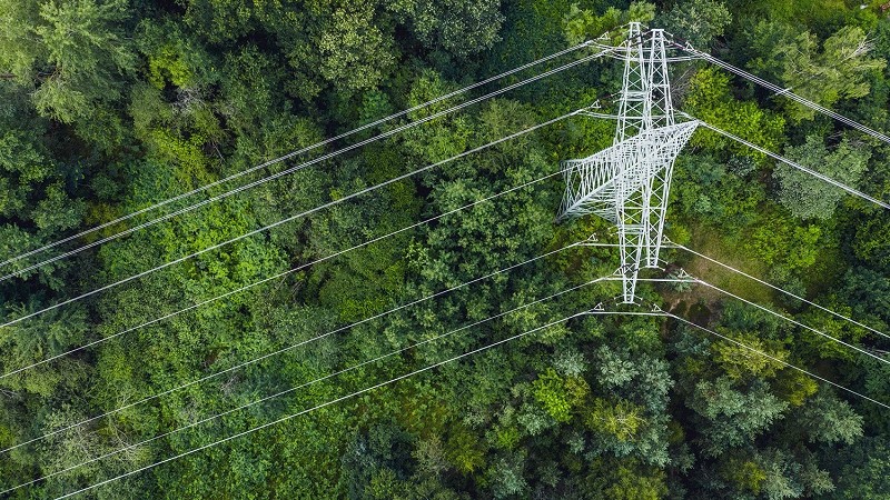 Így zöldíthetnek tengeri szélenergiával a magyar vállalatok